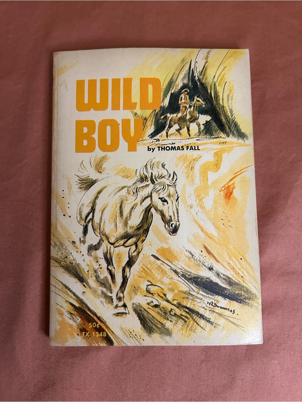 Wild Boy Vintage Paperback book